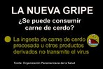 Folder da Organizao Panamericana da Sade, com informaes sobre o consumo da carne de porco durante a pandemia de gripe H1N1. Palavras-chave: Gripe. H1N1. Pandemia. Atividades. Mxico. Escola. Folder. Estados Unidos.