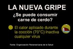 Folder da Organizao Panamericana da Sade, com informaes sobre o consumo da carne de porco durante a pandemia de gripe H1N1. Palavras-chave: Gripe. H1N1. Pandemia. Atividades. Mxico. Escola. Folder. Estados Unidos.