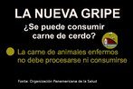 Folder da Organizao Panamericana da Sade, com informaes sobre o consumo da carne de porco durante a pandemia de gripe H1N1. Palavras-chave: Gripe. H1N1. Pandemia. Atividades. Mxico. Escola. Folder. Estados Unidos.