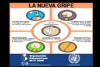 Detalhe de flder da Organizao Panamericana da Sade, com informaes sobre os cuidados pessoais a serem adotados para prevenir a gripe H1N1. Palavras-chave: Gripe. H1N1. Escola. Flder. Organizao Panamericana da Sade.