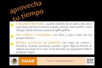 Flder com sugesto de atividades que as crianas podem realizar enquanto as aulas no recomeam. Este flder est dividido em 6 partes para que a visualizao seja melhor. Palavras-chave: Gripe, H1N1. Pandemia. Atividades. Mxico. Escola. Folder.