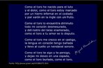 Poema de Miguel Hernndez, poeta e dramaturgo espanhol pertencente  Gerao de 27. Sua obra foi marcada por um claro compromisso poltico com os mais pobres. Palavras-chave: Miguel Hernndez, poesia, Gerao de 27.