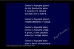 Poema de Miguel Hernndez, poeta e dramaturgo espanhol pertencente  Gerao de 27. Sua obra foi marcada por um claro compromisso poltico com os mais pobres. Palavras-chave: Miguel Hernndez, poesia, Gerao de 27.