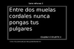 Entre parntesis van la parte (I o II), el captulo (C), la pgina (p) y la lnea (.) en que aparecen estos refranes en la edicin original de la obra, de Quijote. Palavras-chave: Quijote. Refrn. Folhas. Sabidura popular.