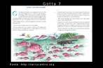 Esta  uma das 36 imagens produzidas a partir do livro "Gotta y sus amigas en una aventura circular", desenvolvido por EducaMadrid, com o objetivo de trabalhar conceitos, como: ciclo hidrolgico, uso energtico, agrcola e domstico da gua e seus principais impactos. As imagens esto organizadas por nmeros, de acordo com as pginas, como, por exemplo, a pgina 2. H uma pgina do livro nomeada de gota 2, em seguida gota 2.1 e gota 2.2 que, na verdade,  a imagem somente do texto que aparece nesta pgina. A histria relata a aventura de 5 gotas de gua durante o ciclo da gua. A protagonista Gotta e suas 4 amigas se separam no alto da montanha. Cada uma ter uma experincia diferente que ser compartilhada quando elas se encontrarem no mar. Fonte: Educamadrid. Palavras-chave: gua. Leitura. Interculturalidade. Discurso.