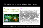 Biruviajes: donde conviven las ranas cantarinas