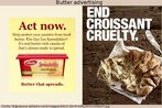 End croissant cruelty