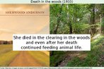 Trecho do conto "Death in the Woods", de Sherwood Anderson. Ao fundo, veem-se a capa de uma das edies e a foto de um caminho em uma floresta. Palavras-chave: Criao. Escritura. Redao. Literatura. Short story. Floresta.