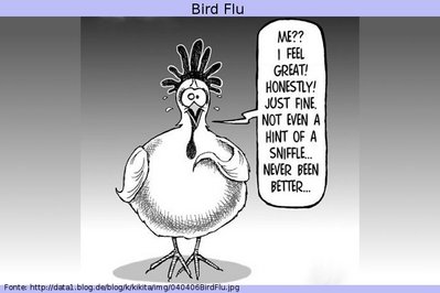 Bird flu - Disciplina - Língua Estrangeira Moderna