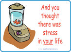 Figura de um peixe dentro de um liquidificador. Acompanha a frase: "E voc que pensava que tinha muito estresse em sua vida...".  Palavras-chave: aparelho, eletrodomstico, cozinha, animal, peixe, comparao.
