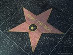 Foto da estrela do Sapo Caco, na Galeria da Fama, em Hollywood. Palavras-chave: estrela, sapo, Caco, galeria, fama, Hollywood, sonho, profisso.