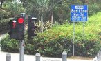 Foto de uma placa colocada num jardim que ladeia uma rua movimentada de Singapura, indicando o horrio em que funciona uma faixa exclusiva de nibus.  Palavras-chave: cidade, trnsito, nibus, faixa, rua. 