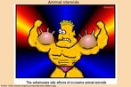 Animal steroids