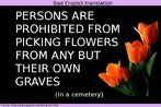 Transcrio de uma placa de um cemitrio, com o dizer: " proibido retirar flores seno de seu prprio tmulo". Ao lado das palavras, a foto de flores de cor salmo.  Palavras-chave: Duplo sentido. Traduo. Interpretao. Cemitrio.