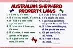 Australian Shepherd