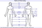 Figura de um homem e uma mulher mostrando as principais partes do corpo. Recomendvel utilizar apenas para sries do ensino mdio.  Palavras-chave: Posio anatmica. Corpo. Vocabulrio. Casal.