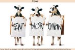 Montagem que mostra vacas parafraseando as campanhas em prol do aumento no consumo de carne. Atravs de cartazes, elas dizem (com algumas inadequaes ortogrficas): "Coma mais frango".   Palavras-chave: Pardia. Animais. Cartaz. Ortografia. Carne.
