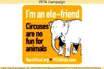 Campanha da organizao preservacionaista PETA, abordando o sofrimento de animais de circo como elefantes.  Palavras-chave: Amigo. Trocadilho. Animal. Meio ambiente.