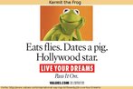 Foto do Sapo Caco (Kermit the Frog), do programa Vila Ssamo, em cartaz produzido pela Organizao para uma Vida Melhor (OVM), destacando sobre a personagem: "Come moscas. Namora uma porca. Estrela de Hollywood". Palavras-chave: Estmulo. Animal. Televiso.Pensamento positivo. Valores.
