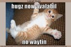 Nesta imagem, com a foto de um gato pequeno l-se a mensagem, em linguagem lolcat "Hugs now available. Don't wait", com tom apelativo, comercial. Palavras-chave: Funes da linguagem. Internets. Oferta. Interpretao.