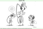 Open fly