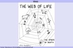 Nesta imagem, v-se o desenho de uma teia de aranha. Sobre ela h um humano e vrios animais e plantas. Mais abaixo, v-se tambm uma aranha, discriminada como "A aranha da morte". Palavras-chave: Meio ambiente. Descrio. Vida. Natureza. Ironia.