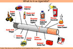 What is in a cigarrete