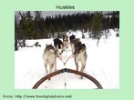 Foto de huskies carregando um carro na neve. Palavras-chave: Estimao. Gasto. Cachorros. Transporte. Preferncia.