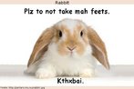 Foto de um coelho, com os dizeres (em linguagem tatibitate e abreviada): "Por favor, no arranquem minhas patas. Obrigado". Palavras-chave: Internets. Animal. Estimao. Greetings. Polite words.