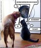 Nesta fotomontagem, um gato prope a um cachorro que entre em uma mquina de lavar, mas esconde suas reais intenes.  Palavras-chave: animais, amigos, mentira, proposta, ideia, convite.