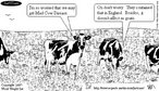 Nessa charge, duas vacas comentam sobre a possibilidade de contrarem a doena da vaca louca, e uma delas demonstra que j est doente.  Palavras-chave: trocadilho, gado, doena, humor.