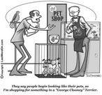 In the pet shop