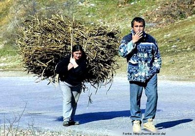  Foto de um homem e uma mulher que vo subindo uma estrada - ele fumando, e ela, carregando um enorme feixe de gravetos. 
Palavras-chave: estrada, casal, machismo, interculturalidade, descrio.