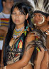 Brazilian indians