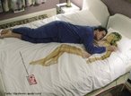 Bed cover