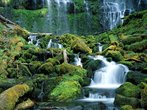 Foto de uma cachoeira em um ambiente de floresta, com muitas pedras cobertas de limo.  Palavras-chave: cachoeira, geologia, gua.