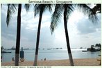 Foto tirada a partir da praia de Sentosa, em Singapura. Veem-se em plano avançado três palmeiras, e no plano de fundo o Oceano Índico, com vários navios. Palavras-chave: Ásia. Mar. Praia. Lazer. Singapura.