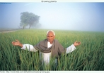 Foto de um idoso, em trajes indianos, em pé em meio a uma plantação, sorridente, de braços abertos. Palavras-chave: Interpretação. Interdiscurso. Descrição. Terra. Plantação. Idoso. Sorriso.