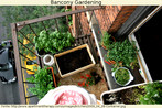 Balcony garden