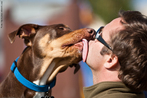 Pela saliva, os cães podem transmitir doenças ao homem e vive-versa. A saliva do cachorro pode transportar bactérias, vermes e fungos; e a do homem pode transmitir vírus, como o da herpes, e até passar o famoso “sapinho”. Ou seja, a prática de beijar os pets na boca pode ser prejudicial para a saúde de ambos.  Fonte: http://utilidades.no.comunidades.net/index.php?pagina=1843069322  Palavras-chave: animal, higiene, carinho, afeto, estimação.