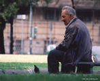Foto de um homem sozinho, aparentemente de meia idade, sentado sobre um banco de praça, ao lado de uma pomba.  Palavras-chave: solidão, sociedade, descrição, velhice, literatura, interpretação, campo semântico.