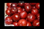 Imagem de ameixas vermelhas, fruto da ameixeira. Palavras-chave: Ciruela. Ameixa. Fruta. Comida. Alimento. Cores. Descrio.