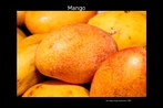 Imagem da fruta, cuja rvore de quase quinze metros de altura  originria da ndia. Palavras-chave: Manga. Campo lxico. Comida. Alimento. Mango. Fruta.