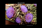 Foto de alcachofras, planta originria da zona mediterrnea, com mais ou menos um metro e meio de altura. A unidade 5 do LDP est relacionada  alimentao. Palavras-chave: Alcachofa. Alcachofra. Flor. Comida. Alimento.