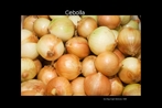 Cebolla